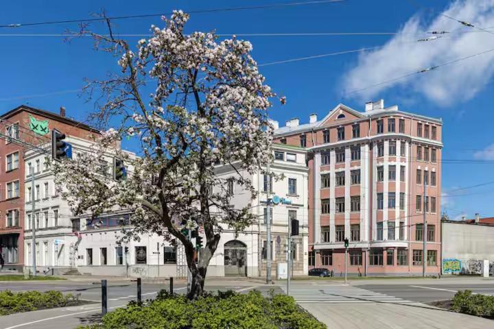 Homey 1br Loft In Old Town